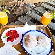 Bite Cheesecake de framboesa